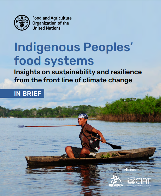 Indigenous Peoples Food Systems Insights On Sustainability And